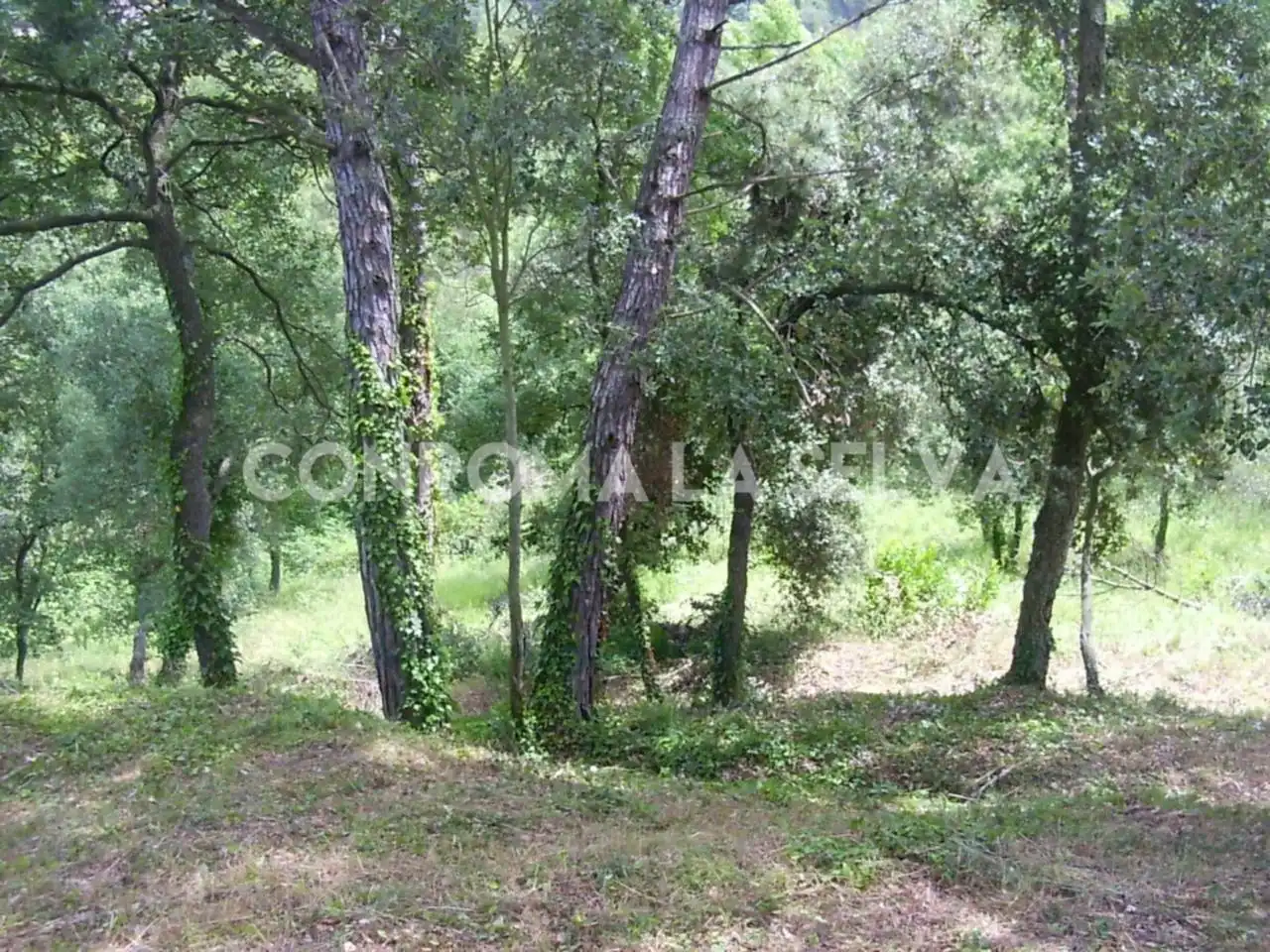 Residential land for sale in Residencial Park, imagen 10