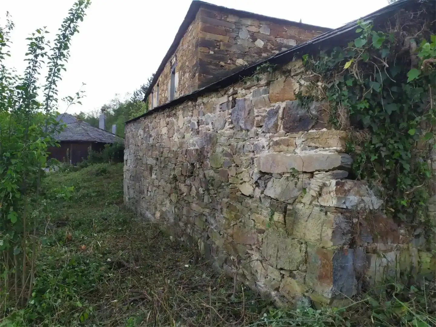 Vista exterior de Finca rústica en venda en Becerreá amb Balcó