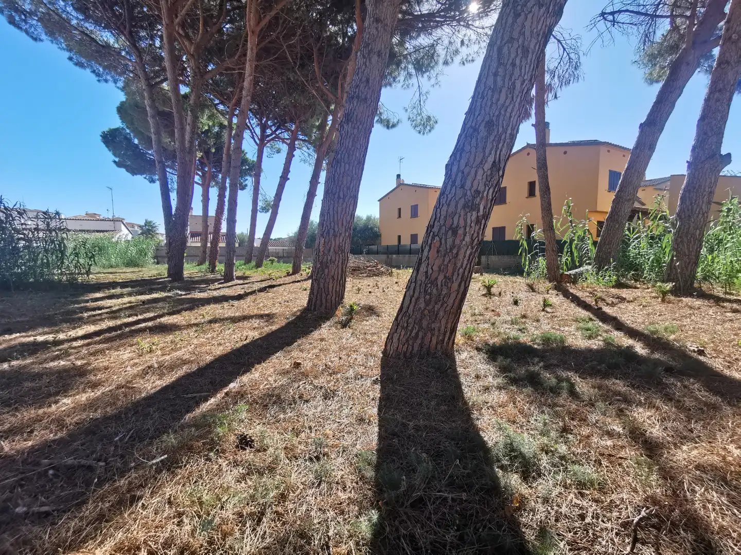 Residential land for sale in Carrer Riells de Dalt