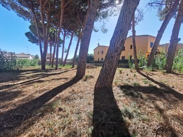 Wohnbaugrundstück zum Verkauf in Carrer Riells de Dalt