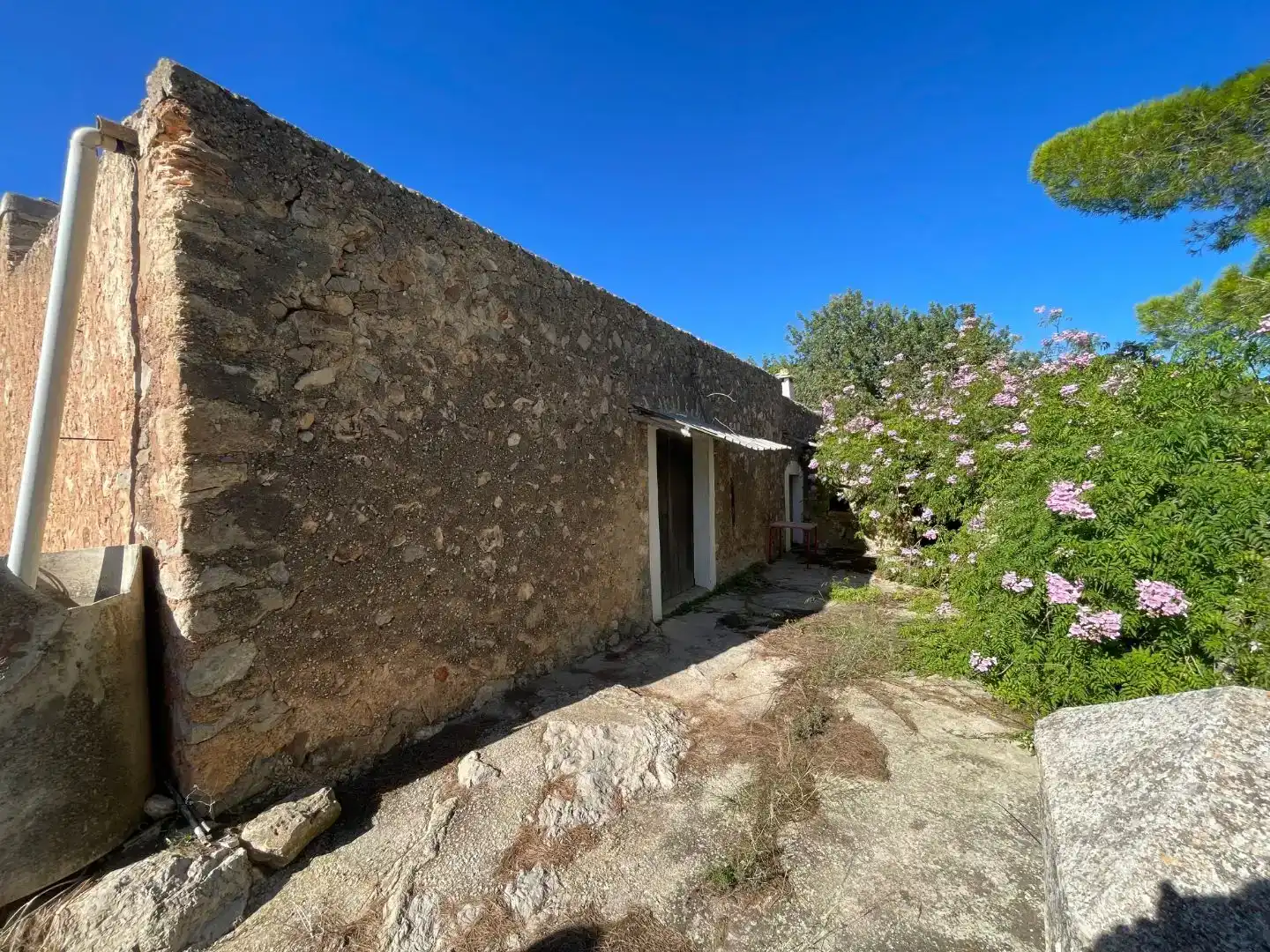 Vista exterior de Finca rústica en venda en Sant Josep de sa Talaia