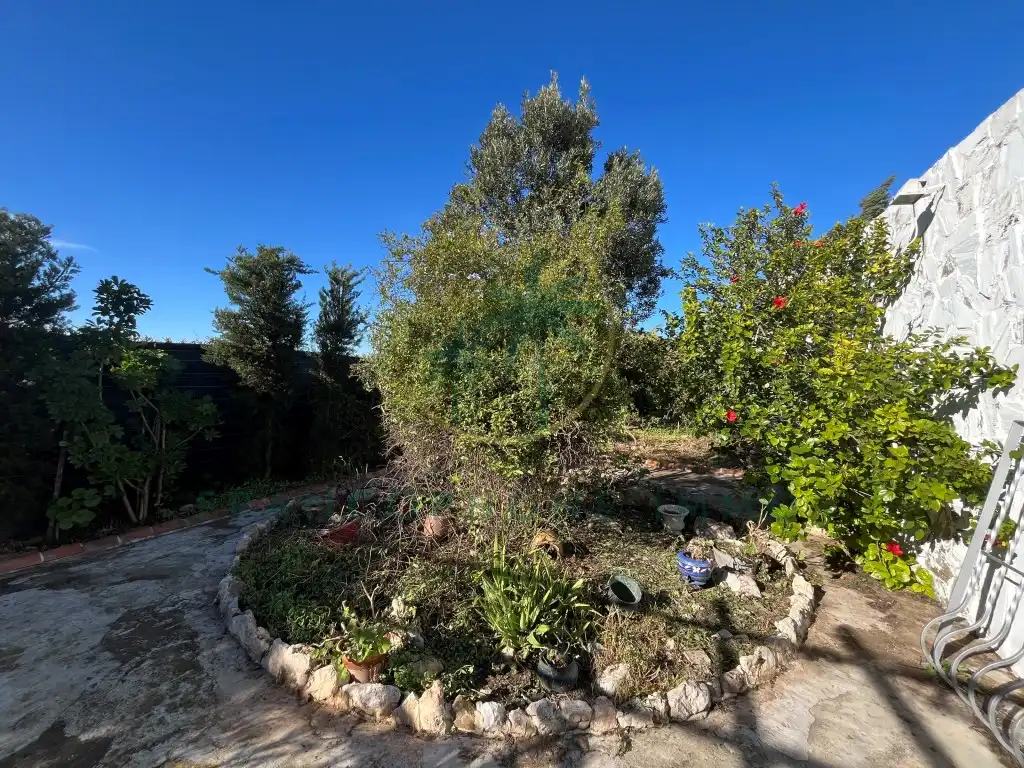 Garden of Houses for sale in Cullera