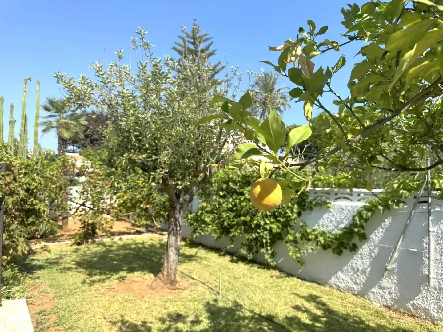 Villa avec piscine à vendre à Las Marinas / Les Marines, imagen 89