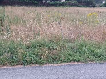 Terreno residenziale in vendita a Rúa Diego Pazos 151
