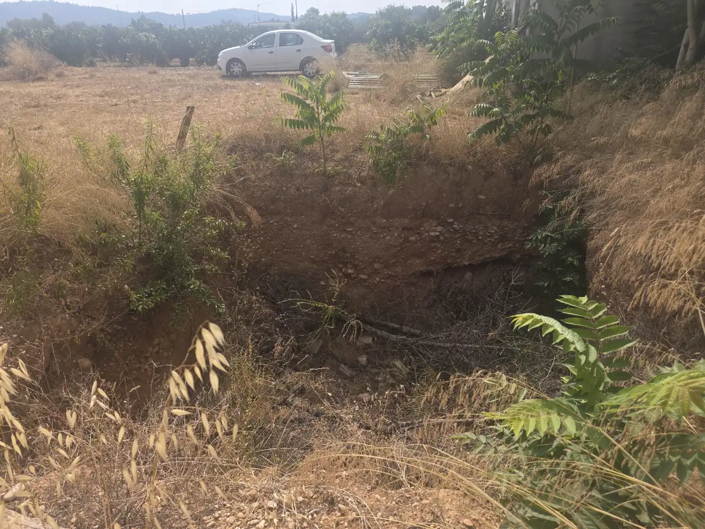 Rural land for sale in Vilamarxant, imagen 19