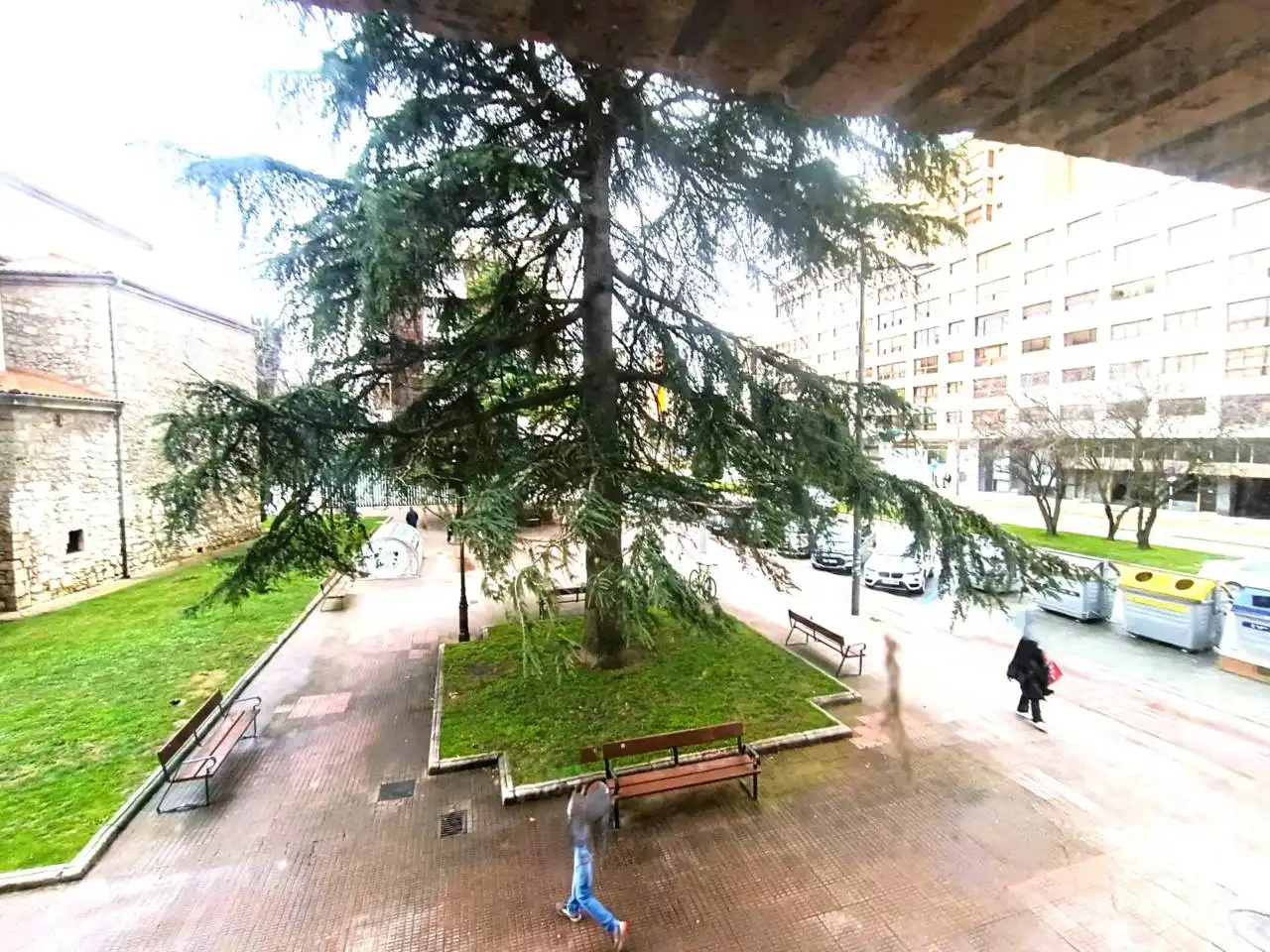 Oficina de lloguer a Avenida Paz, imagen 12