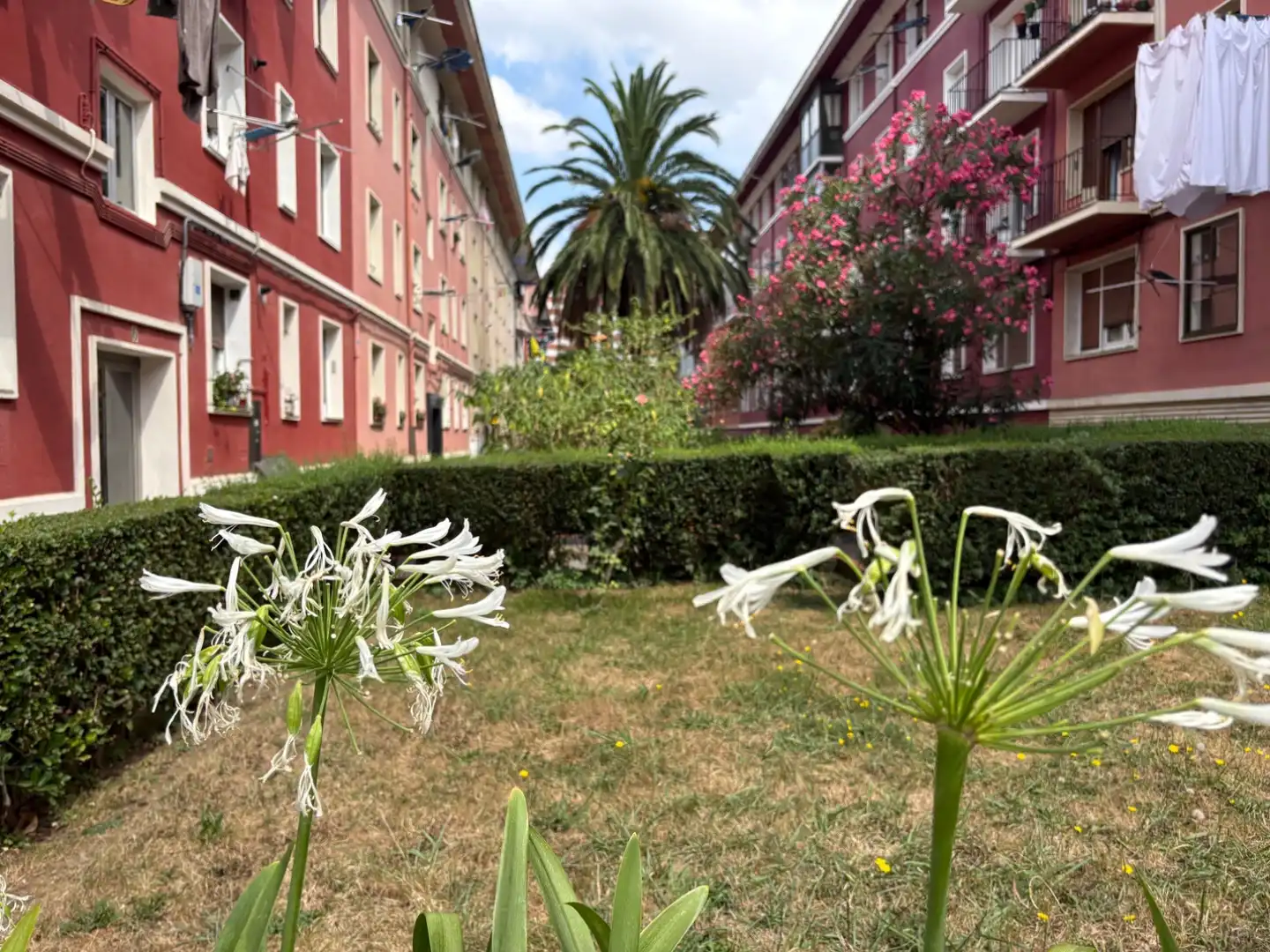 Flat for sale in San Ignacio - Elorrieta