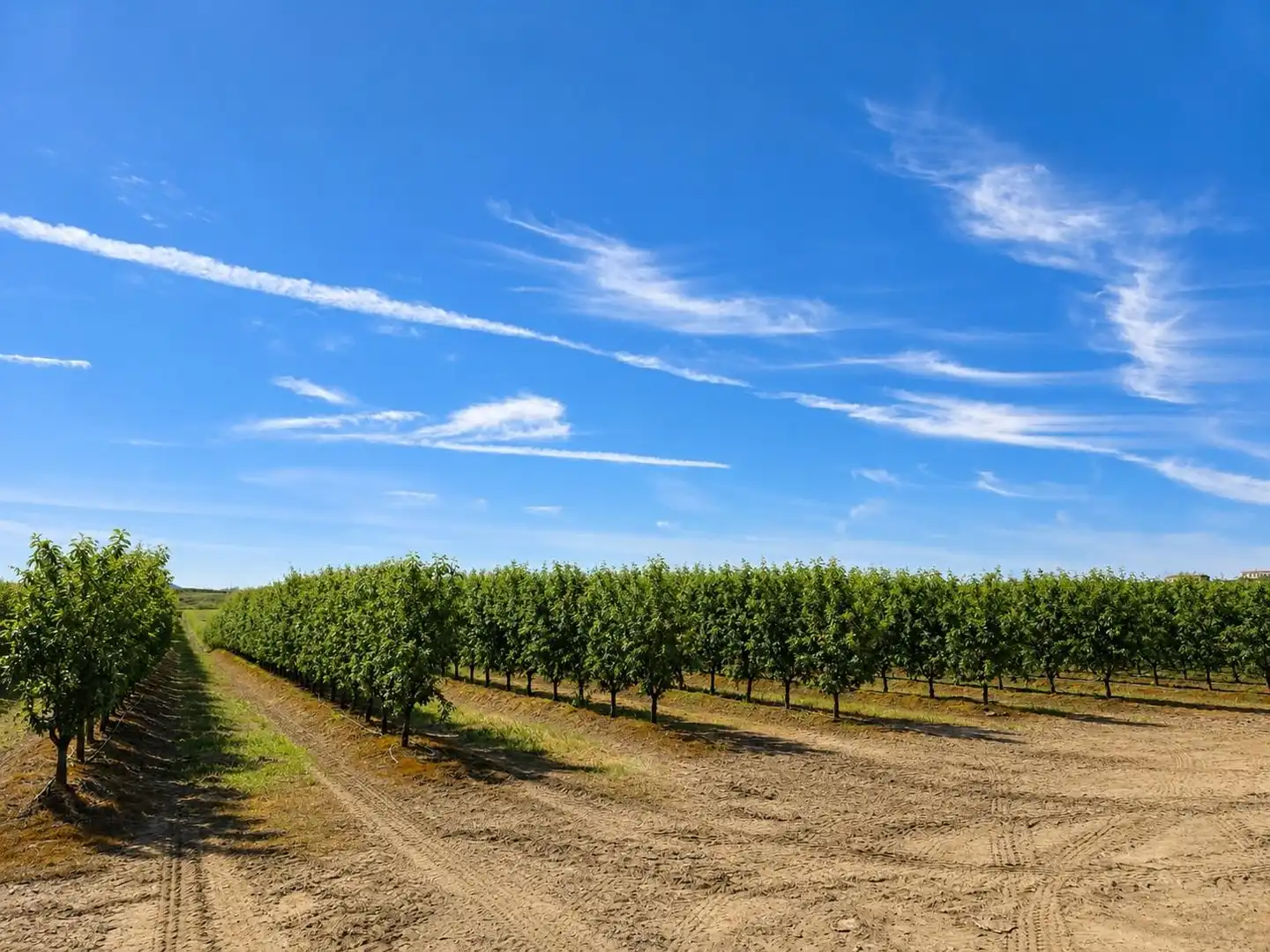 Exterior view of Land for sale in Torrejoncillo