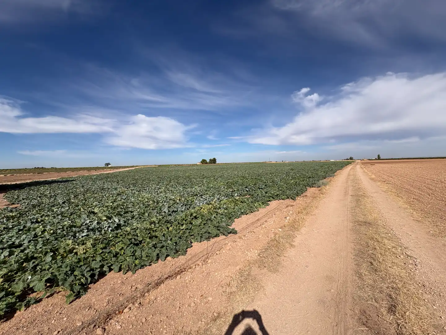 Rural land for sale in CM-400 580, imagen 19