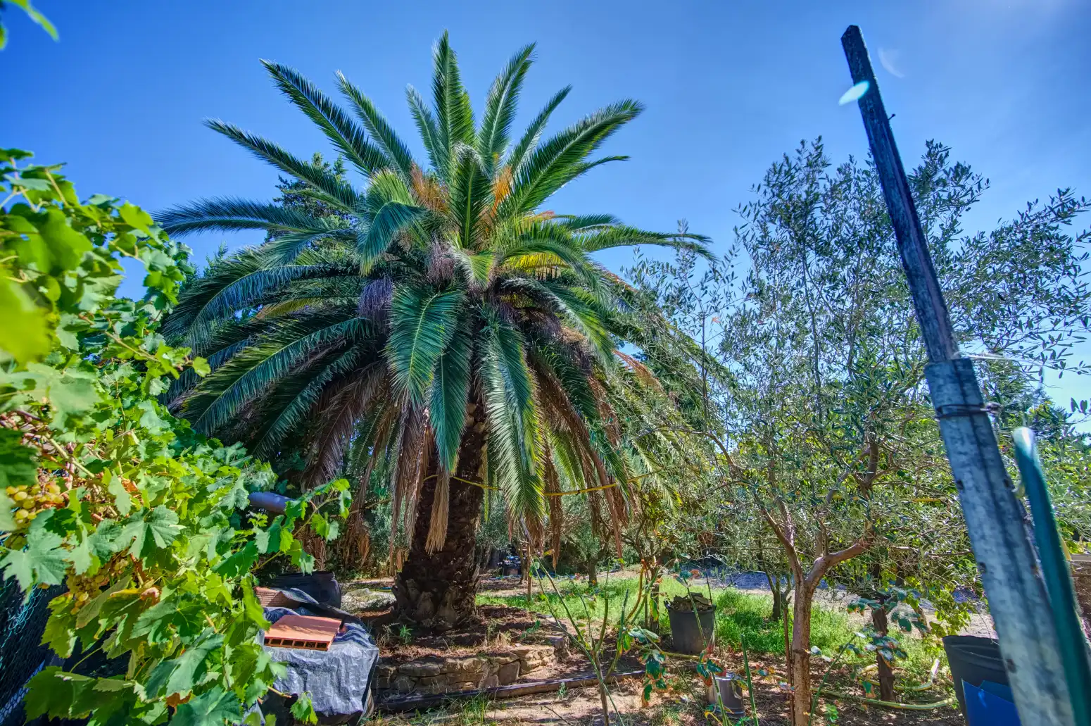 Casa con piscina en venta en Paraje LA GLERA, imagen 75