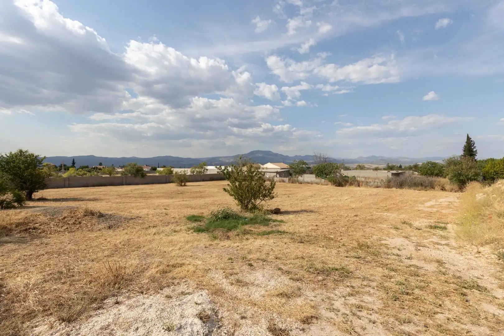 Rural land for sale in Moraleda de Zafayona, imagen 9