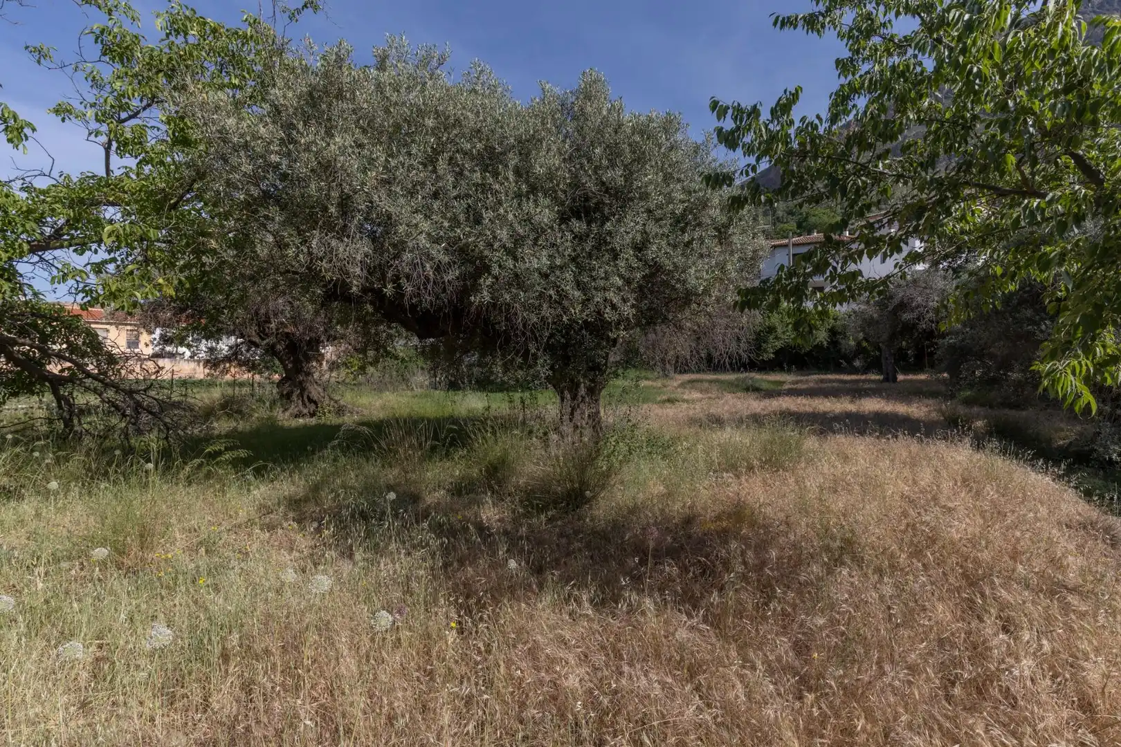 Lands and plots for sale in Carretera de Maitena, imagen 18