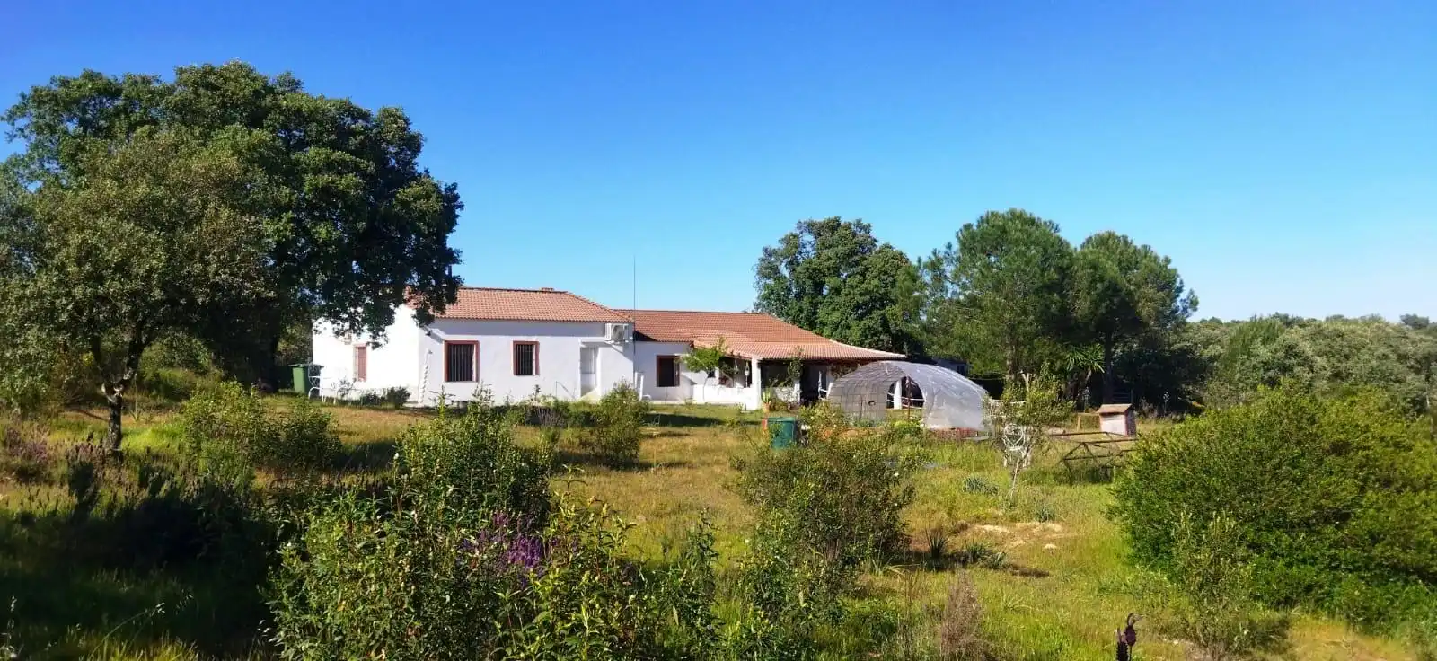 Finca rústica en venda a El Ronquillo