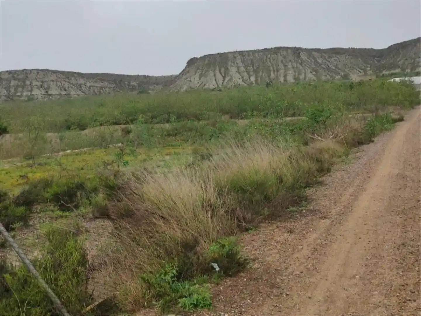 Finca rústica en venda en Ceutí