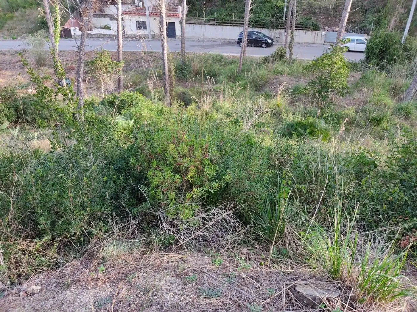 Terreno residenziale in vendita a Olivella, imagen 3
