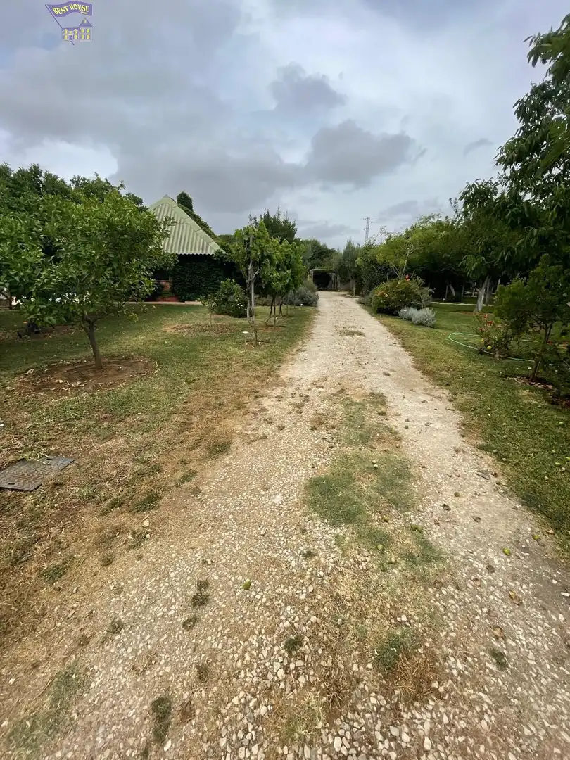 Casa rústica amb piscina en venda a Arcos de la Frontera, imagen 7