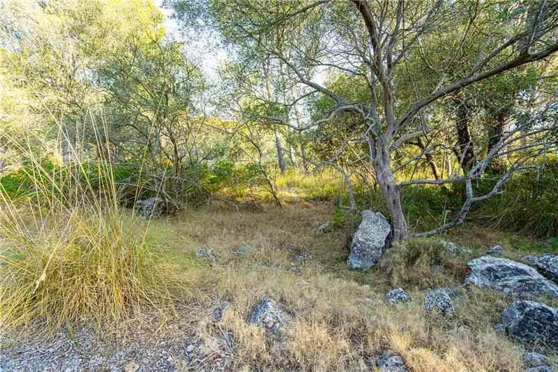 Terreno rustico in vendita a Nord, imagen 6