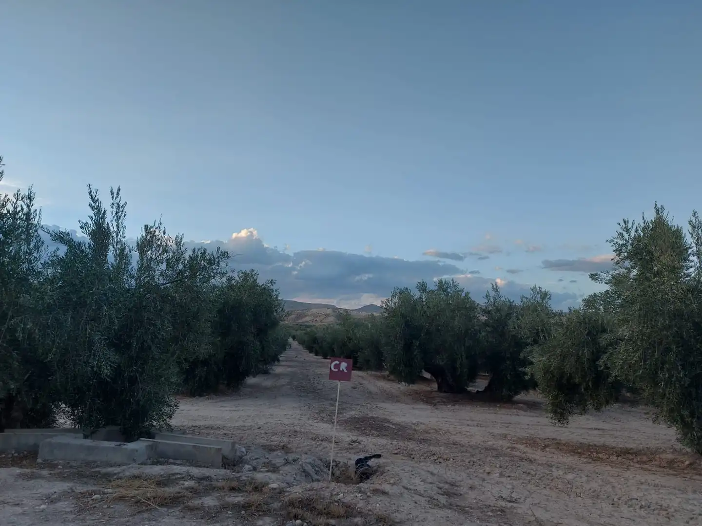 Terreno en venta en Alicún de Ortega