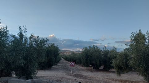 Photo 3 of Land for sale in Calle la Huerta, Alicún de Ortega, Granada