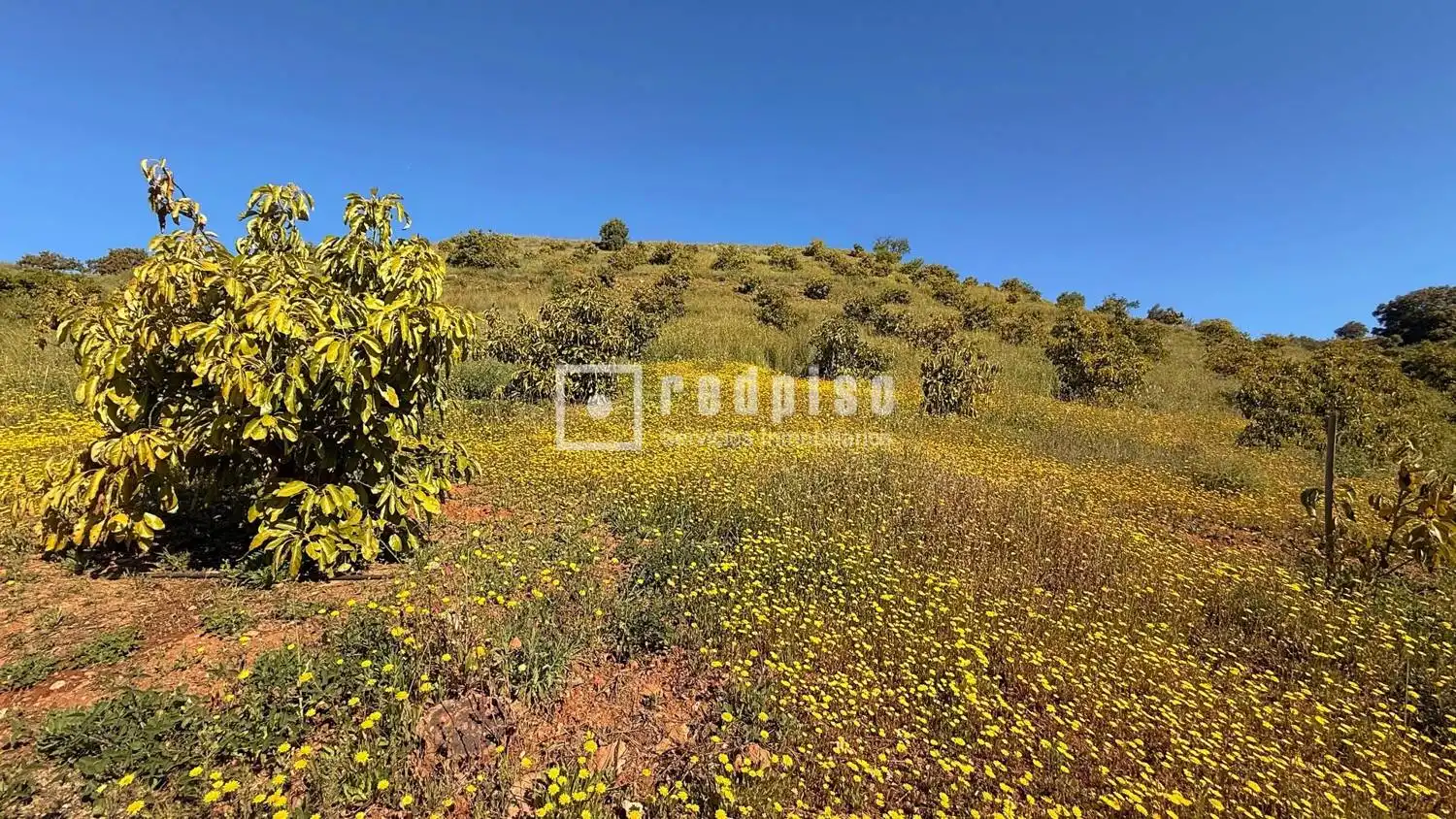 Casa con jardín en venta en Diseminados, imagen 57