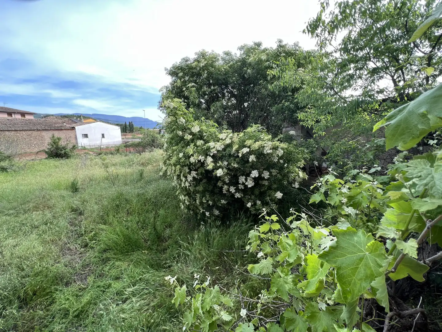 Wohnbaugrundstück zum Verkauf in Mestre Antoni Vicent, imagen 13