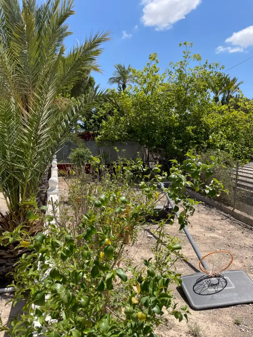 Jardí de Casa o xalet en venda en Elche / Elx amb Aire condicionat, Jardí privat i Terrassa