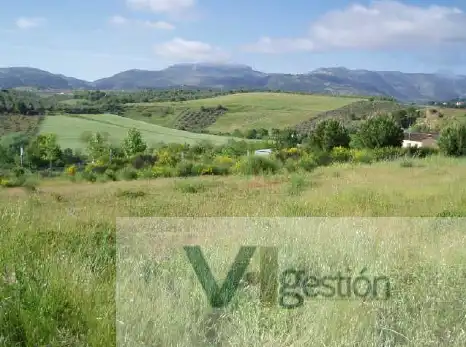 Terreni e lotti in vendita a Centro, imagen 4