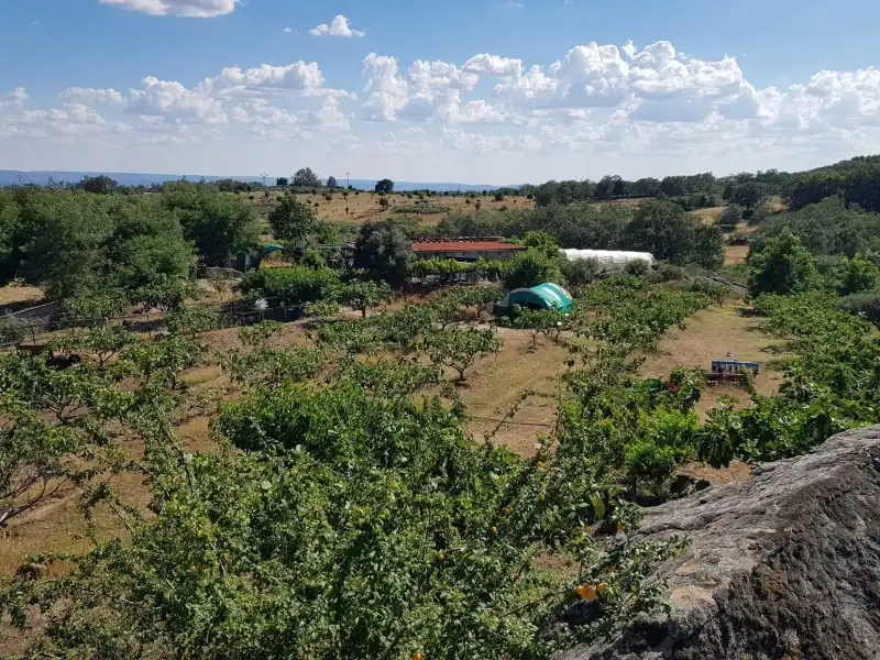 Chalet en venta en Torremenga, imagen 26