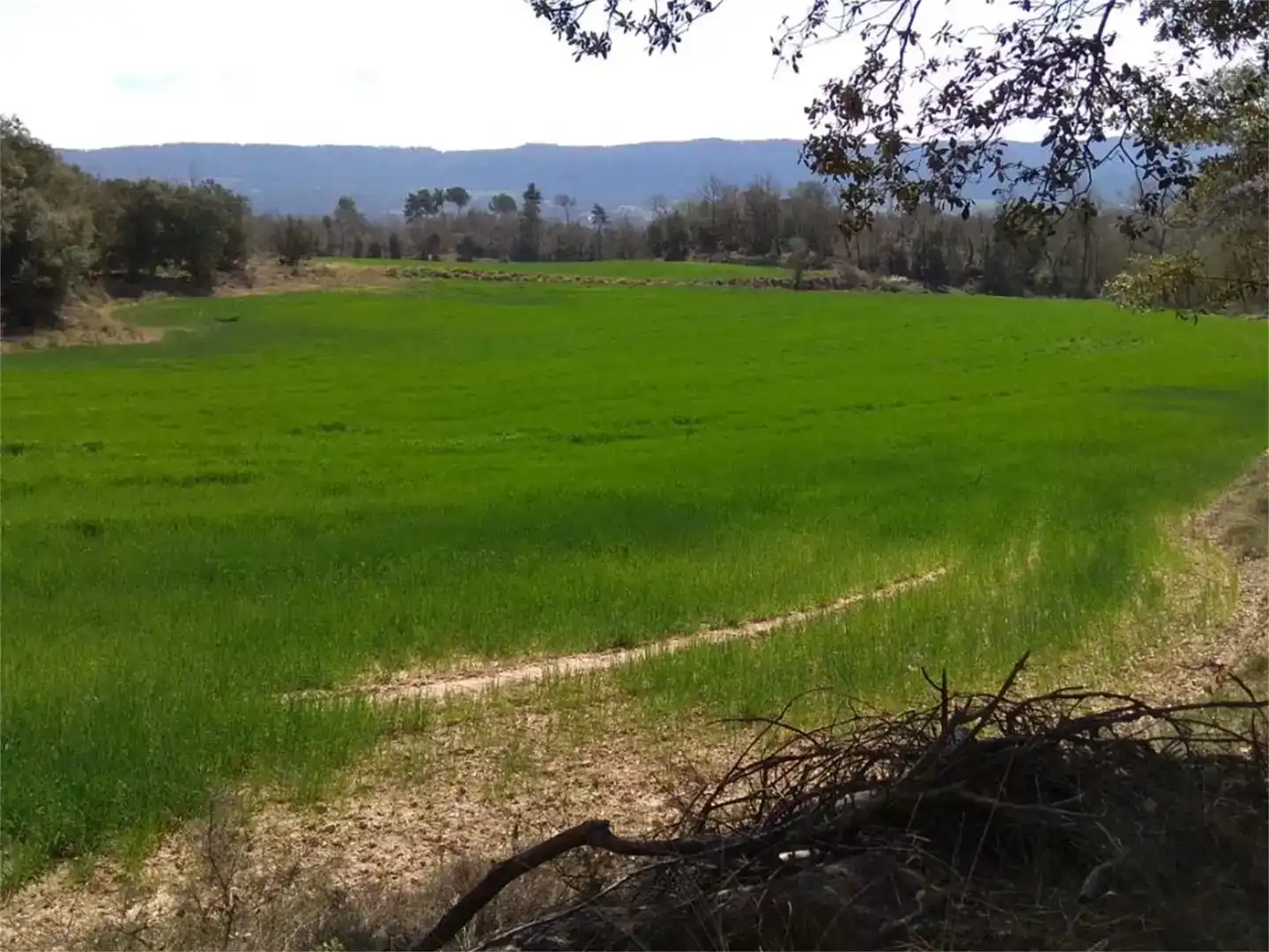 Terreno en venta en Sagàs, Barcelona