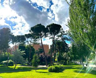 Exterior view of Flat to rent in  Madrid Capital  with Air Conditioner, Heating and Community pool