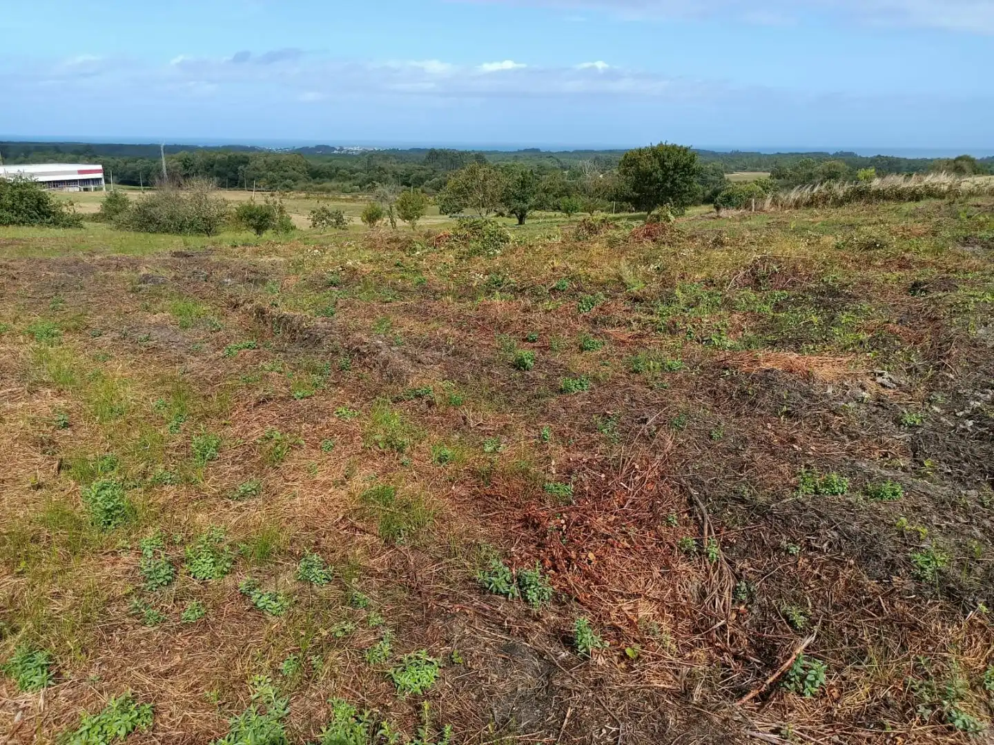 Terrain résidentiel à vendre à TC-5 8, imagen 5