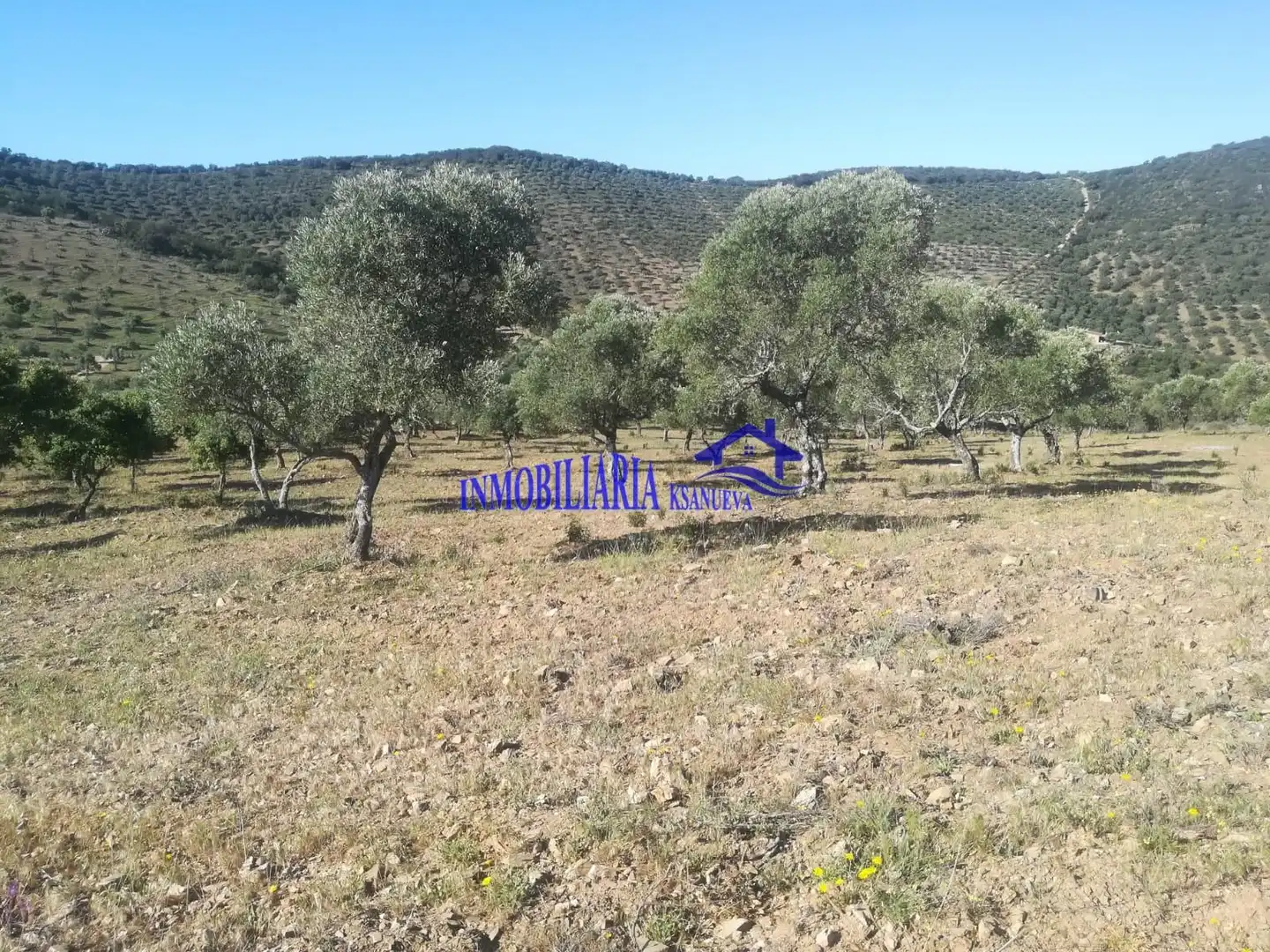 Finca rústica en venta en Fuente Obejuna con Trastero