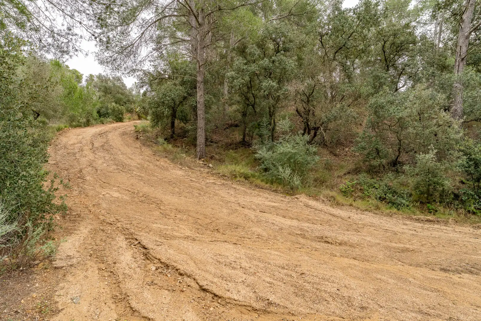 Finca rústica en venda en Les Borges del Camp amb Jardí privat, Terrassa i Traster