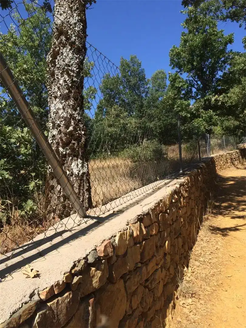 Vista exterior de Terreno en venta en Valverde de los Arroyos