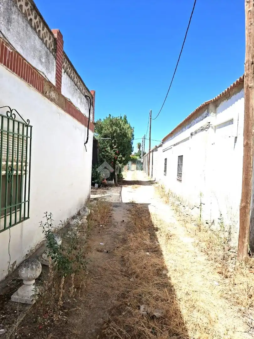 Vista exterior de Finca rústica en venta en Almensilla con Trastero