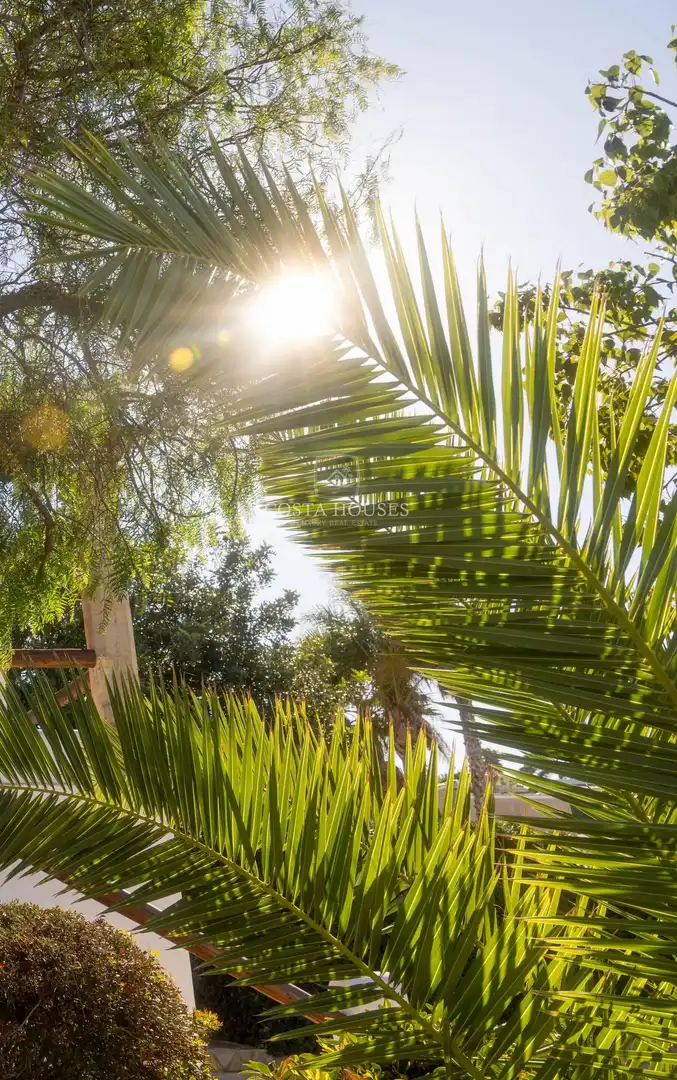 Exterior view of Houses for sale in Jávea / Xàbia  with Air Conditioner, Private garden and Terrace