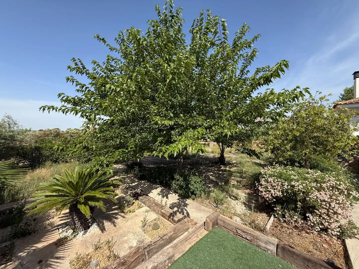 Jardín de Casa o chalet en venta en Agost con Terraza y Piscina