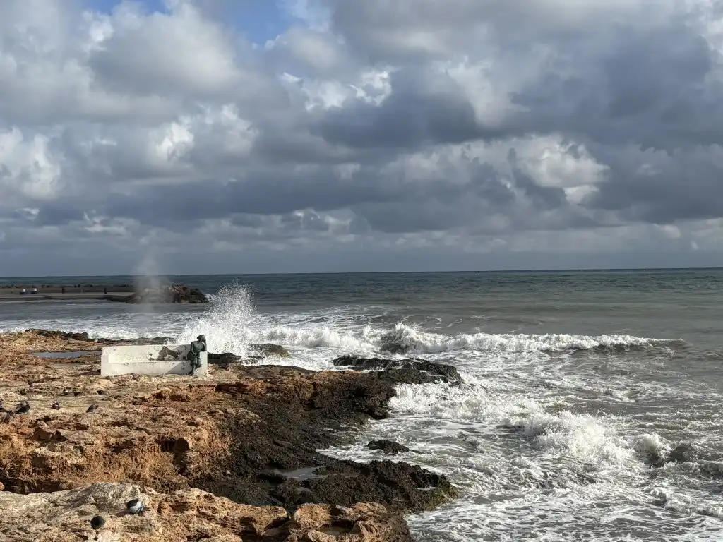 Apartment with terrace for sale in Avenida Doctor Mariano Ruiz Canov, imagen 42