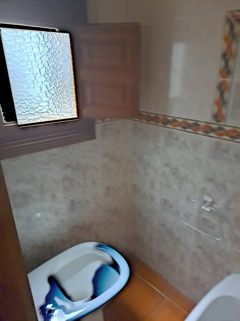 Baño de Casa o chalet en venta en Jérez del Marquesado
