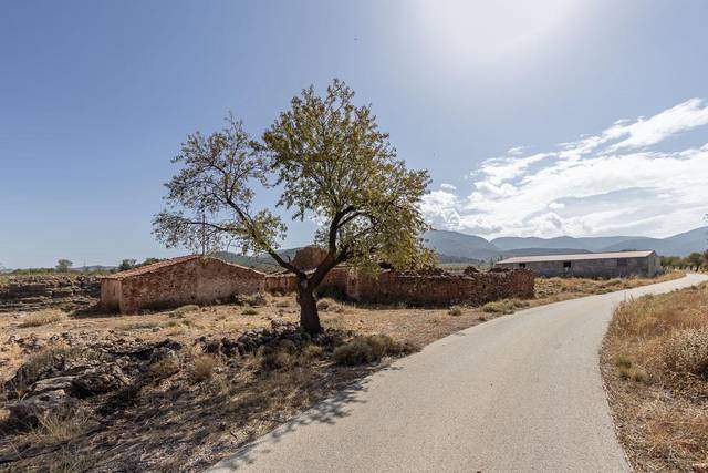 Finca rústica en Venta en Gor