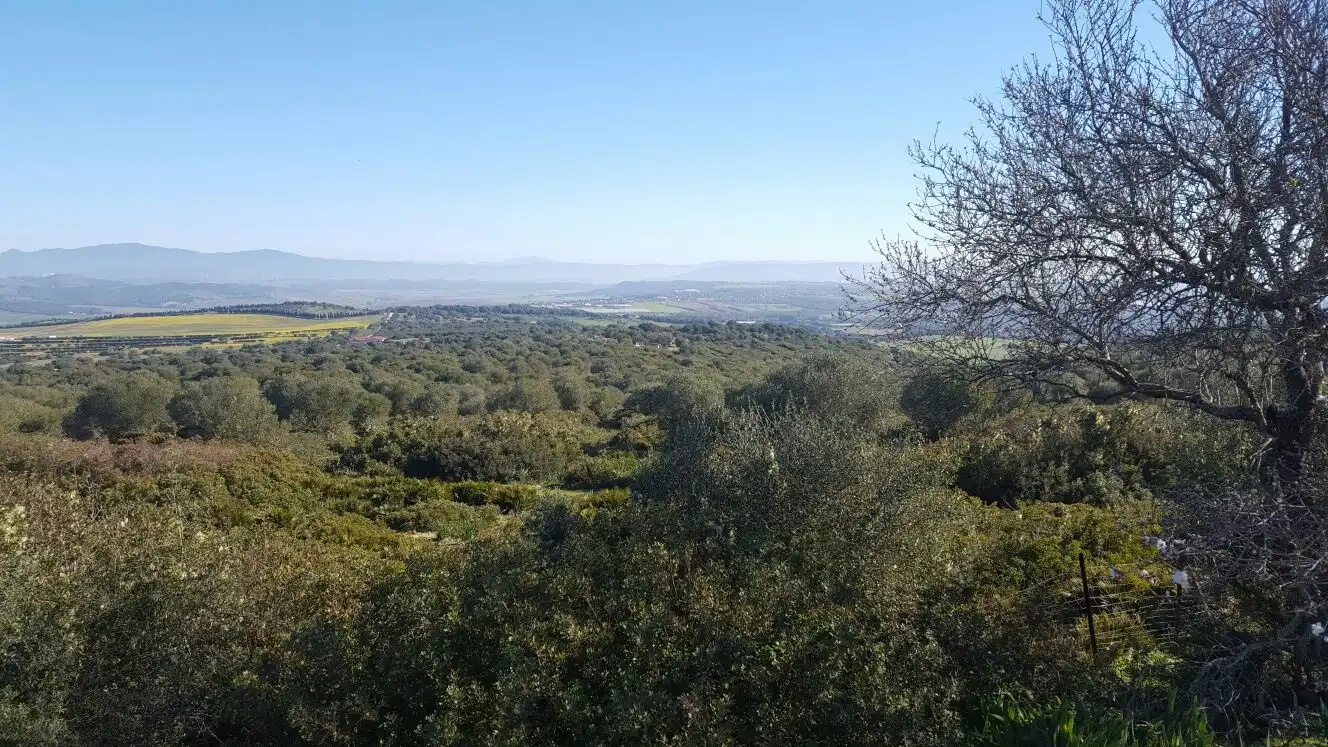 Rural land for sale in Carretera Sevilla Utrera, imagen 5