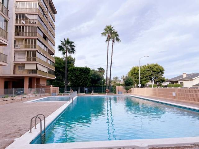 Apartamento en Alquiler en Avenida FERRANDIS SALVADOR en Els Terrers