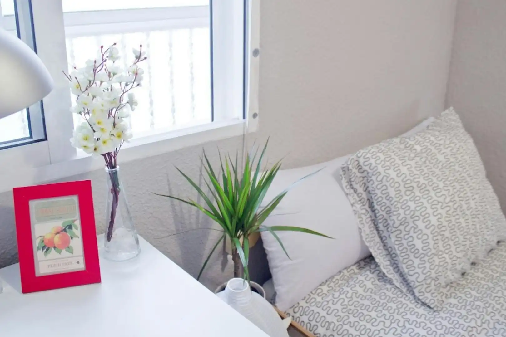 Habitación de Piso para compartir en  Valencia Capital con Lavadora y Internet