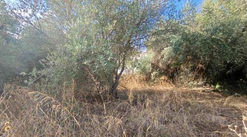 Photo 5 of Residential for sale in Casco Antiguo, Mairena del Aljarafe