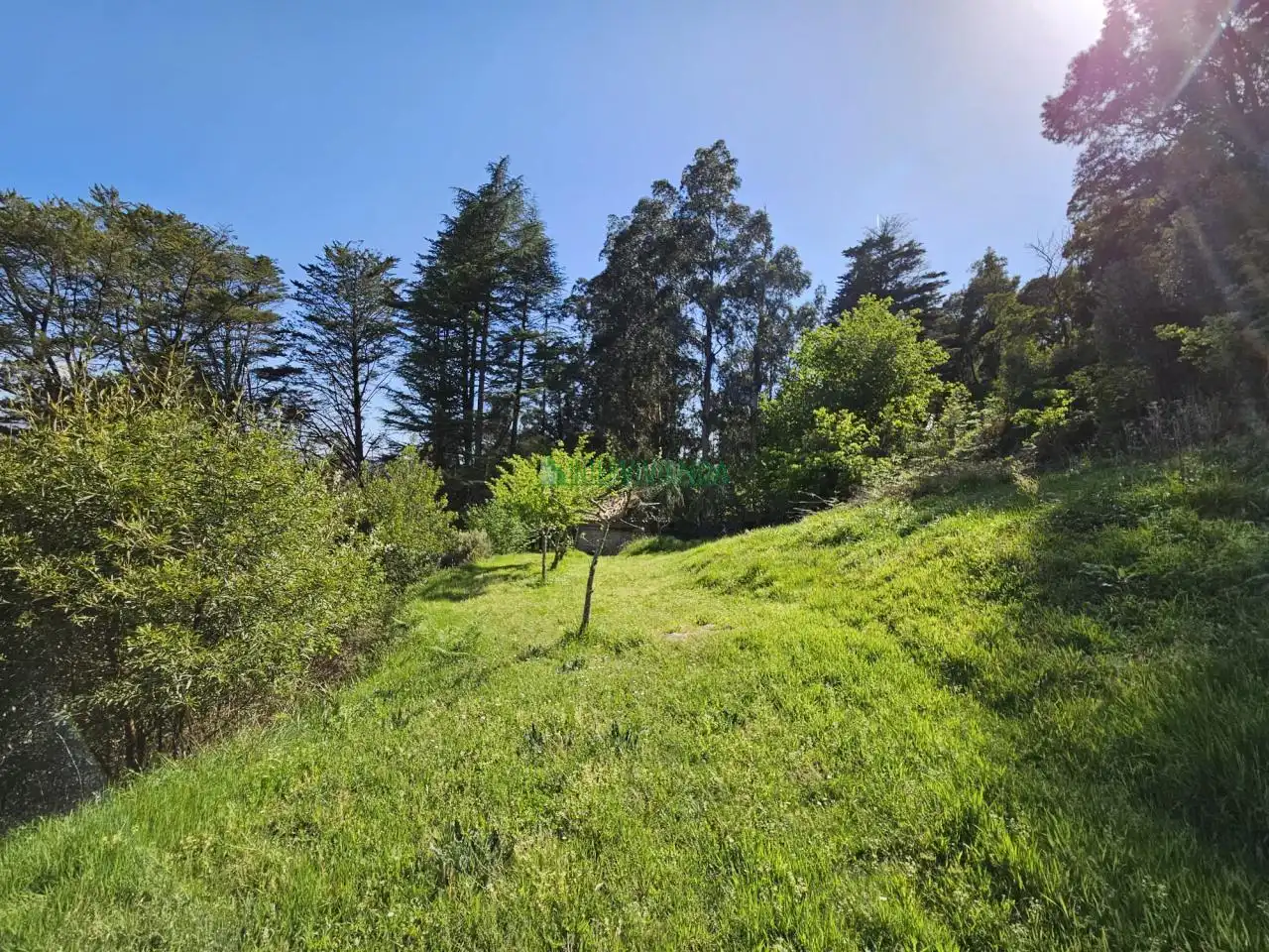 Finca rústica en venta en A Cañiza   con Calefacción, Jardín privado y Terraza