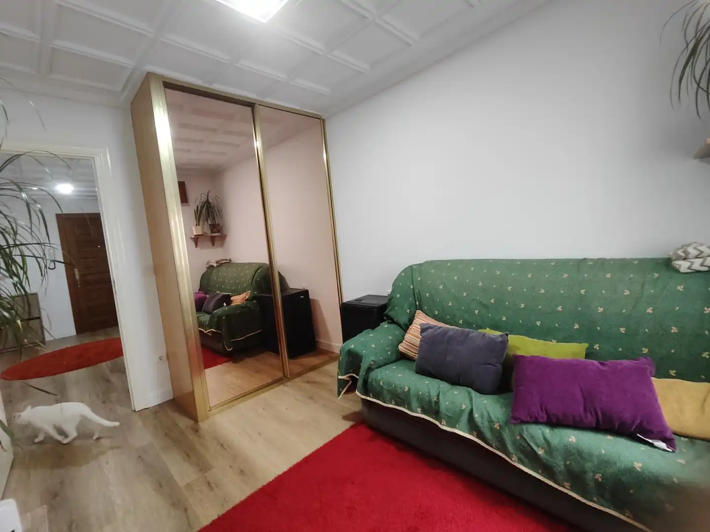 Appartement avec ascenseur à vendre à Travesía de Jaime Janer 16, imagen 6