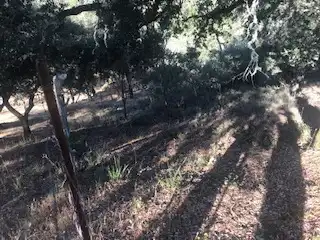 Terreni e lotti in vendita a Cortegana, imagen 30
