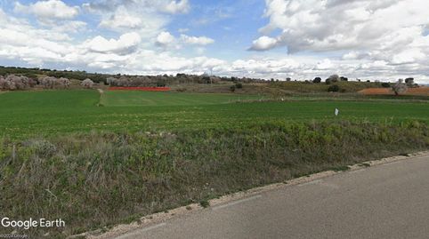 OLIVAR CERCA DEL PUEBLO, PARA CONSUMO PROPIO, RECREO, immagine 3