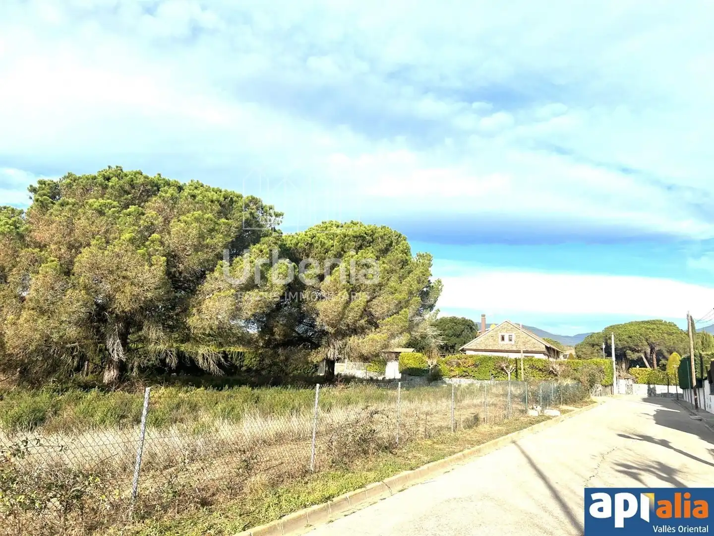 Rural land for sale in Sant Pere de Vilamajor, imagen 3