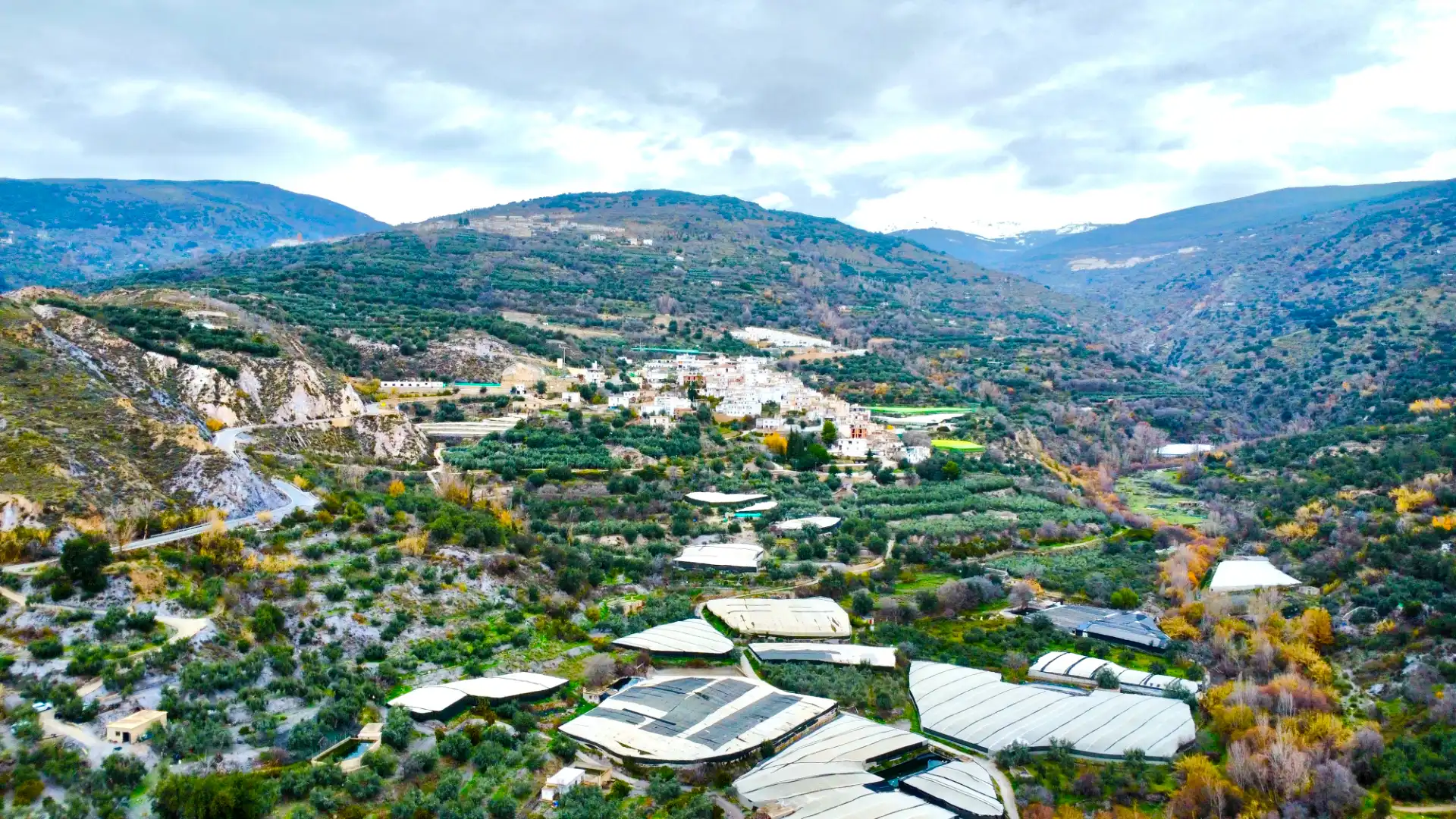 Terreni e lotti in vendita a Lugar Cortijo El Peñon, imagen 48